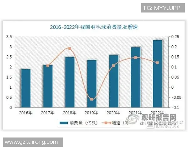 武汉羽毛球队速度分析与训练策略探讨助力竞技水平提升